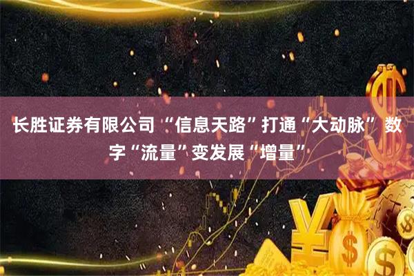长胜证券有限公司 “信息天路”打通“大动脉” 数字“流量”变发展“增量”