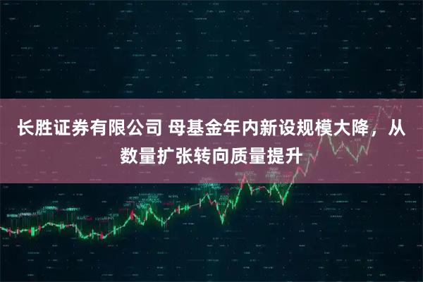 长胜证券有限公司 母基金年内新设规模大降,从数量扩张转向质量提升