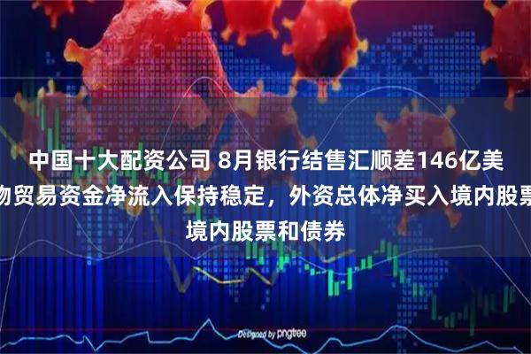 中国十大配资公司 8月银行结售汇顺差146亿美元:货物贸易资金净流入保持稳定,外资总体净买入境内股票和债券