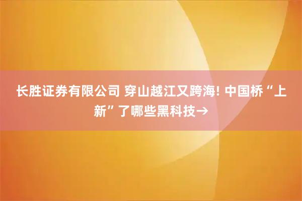 长胜证券有限公司 穿山越江又跨海! 中国桥“上新”了哪些黑科技→