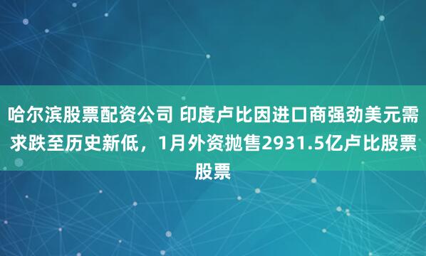 哈尔滨股票配资公司 印度卢比因进口商强劲美元需求跌至历史新低，1月外资抛售2931.5亿卢比股票