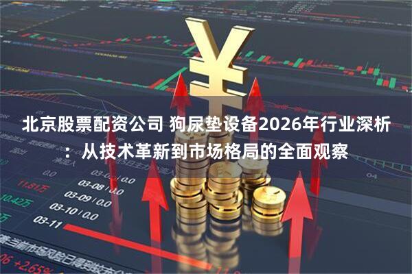 北京股票配资公司 狗尿垫设备2026年行业深析:从技术革新到市场格局的全面观察