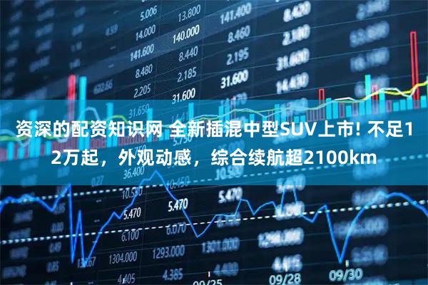 资深的配资知识网 全新插混中型SUV上市! 不足12万起,外观动感,综合续航超2100km