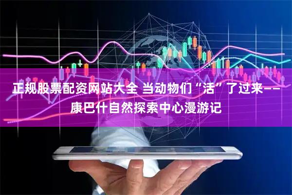 正规股票配资网站大全 当动物们“活”了过来——康巴什自然探索中心漫游记