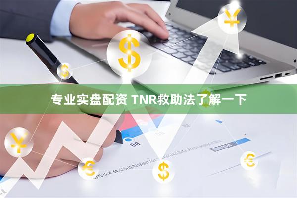 专业实盘配资 TNR救助法了解一下